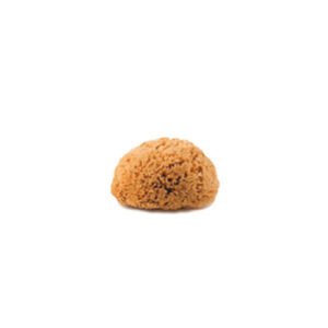 Sponge Mediterranea
